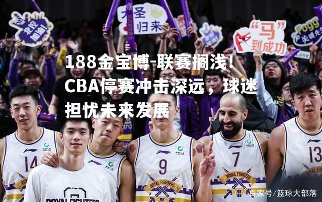 联赛搁浅！CBA停赛冲击深远，球迷担忧未来发展