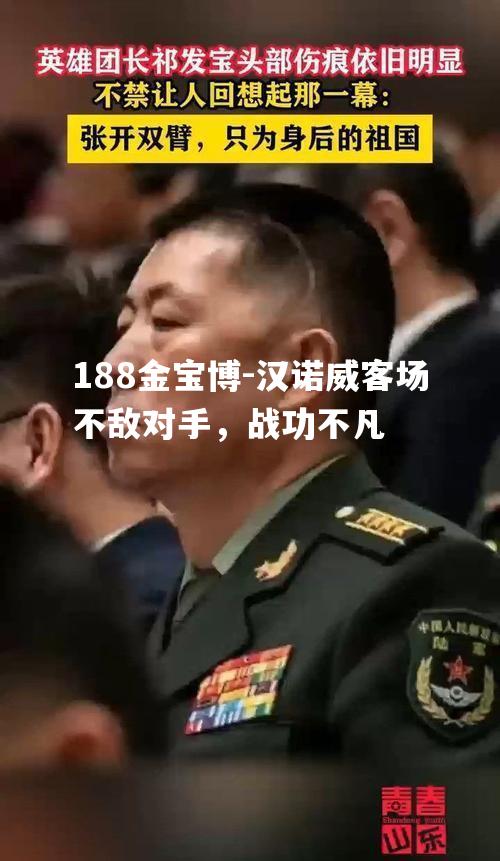 汉诺威客场不敌对手，战功不凡